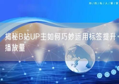 揭秘B站UP主如何巧妙运用标签提升播放量
