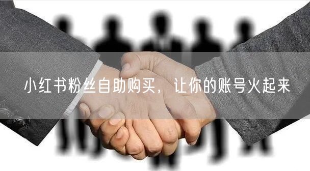 小红书粉丝自助购买，让你的账号火起来