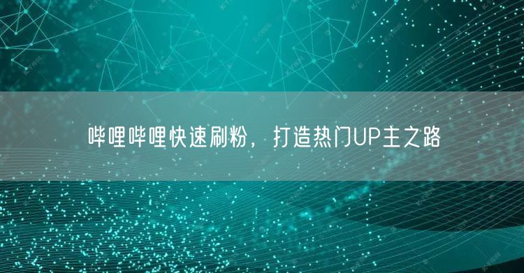 哔哩哔哩快速刷粉，打造热门UP主之路