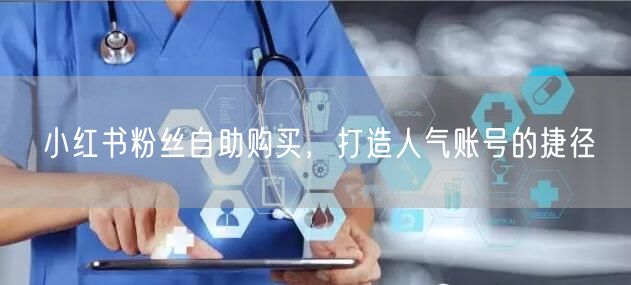 小红书粉丝自助购买,打造人气账号的捷径