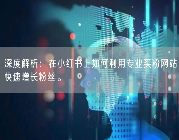 深度解析：在小红书上如何利用专业买粉网站快速增长粉丝。