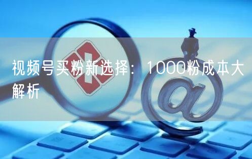 视频号买粉新选择：1000粉成本大解析